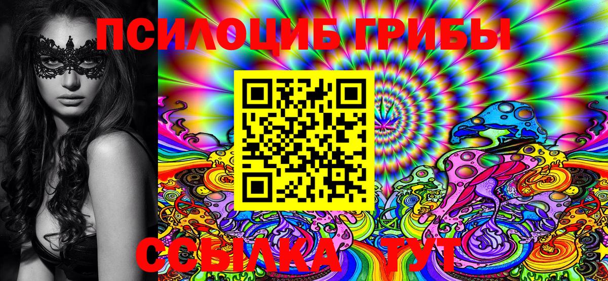 Галлюциногенные грибы Psilocybine cubensis Гусь-Хрустальный