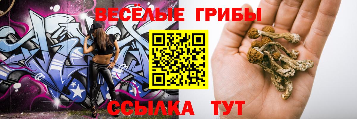 Гусь-Хрустальный  Галлюциногенные грибы MAGIC MUSHROOMS  Вход с VPN  Псилоцибиновые грибы ЛСД 