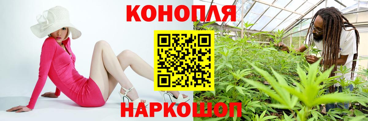 Конопля планчик  Шишки марихуана тримм  Конопля Bruce Banner  Шишки марихуана Bruce Banner  Вход с VPN  Гусь-Хрустальный 